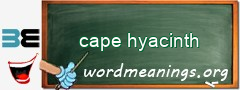 WordMeaning blackboard for cape hyacinth